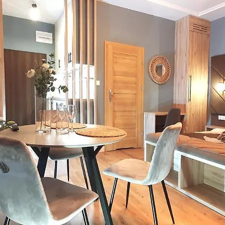 Apartment Dk Premium Ukielpark Olsztyn (Warmian-Masurian)